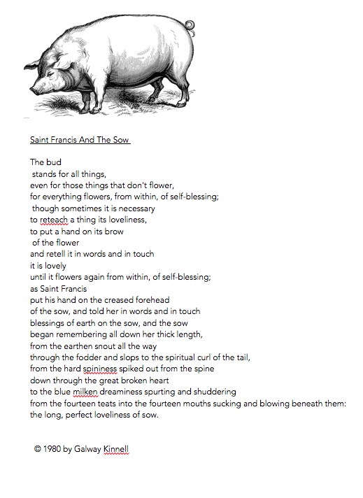Sow and poem copy